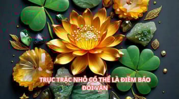 Trước Tết dương lịch, 3 tuổi hay gặp Trục Trặc Nhỏ lại là điềm báo đổi vận, oán thán dễ mất lộc