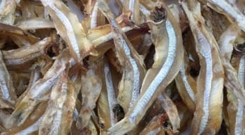 3 loại hải sản phổ biến và rất rẻ này, chuyên gia khuyến khích tăng cường ăn, vì chúng rất giàu canxi