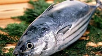 3 loại cá bị cảnh báo dễ trở thành “ổ ung thư”, ngon mấy cũng nên tránh xa