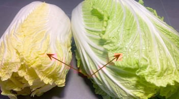 Nên mua cải thảo lá vàng hay cải thảo lá xanh?