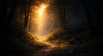 Quiz: Bạn thấy ánh sáng hay bóng tối đầu tiên sẽ tiết lộ Tài Vận đang đà lên hay xuống