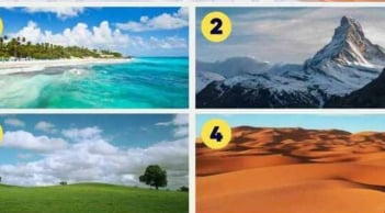 Quiz trắc nghiệm: Duyên tiền bạc của bạn mỏng hay dày? Kiểm tra ngay vận tài chính chuẩn xác!