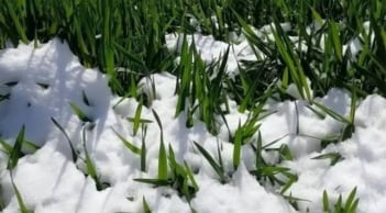 Vì sao dân gian sợ ngày mùng 1 tháng 11 âm lịch? Ngày mai đến rồi, có gì đáng lo?