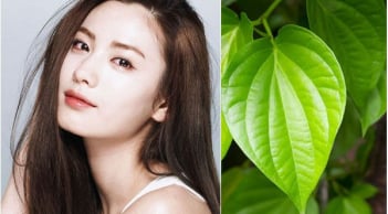 Cách làm chậm các dấu hiệu lão hóa sớm với lá trầu không