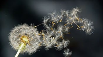 Càng sớm từ bỏ 3 điều này, bạn càng nhanh chạm tay vào hạnh phúc, càng già lại càng vui