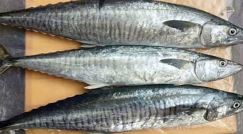 Top 5 loại cá có nguy cơ chứa nhiều thủy ngân nhất: Đi chợ rẻ mấy cũng không nên mua nhiều