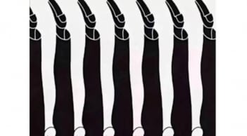 Trắc nghiệm tâm lý: Nhìn thấy gì đầu tiên tiết lộ bạn có giàu sang và quyền lực trong nửa sau cuộc đời không?