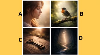 Quiz: Chọn 1 hình ảnh mà bạn chú tâm sẽ tiết lộ vì sao vận may chưa tìm đến