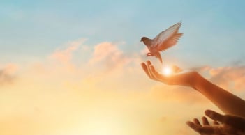 Người xưa dặn “nhìn xa trông rộng”, nhưng rốt cuộc vẫn phải thuận tự nhiên: Bài học càng lớn tuổi càng thấm