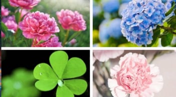 Quiz vận mệnh: Tháng này vũ trụ đang ưu ái bạn điều gì nhất?