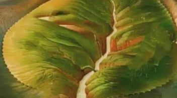 Trắc nghiệm tâm lý cực chuẩn: Thứ bạn nhìn thấy đầu tiên tiết lộ vận mệnh và tương lai cuộc đời bạn