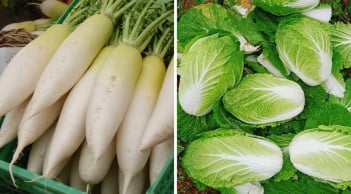 5 loại rau củ mùa đông an toàn bậc nhất, đi chợ gặp được nên mua ngay