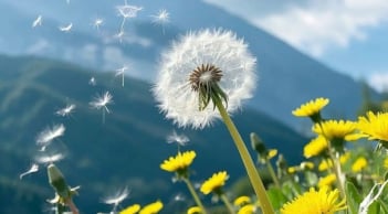 Chủ nhật 28/12: 3 con giáp nên nghỉ ngơi, càng cố làm việc càng dễ rối ren