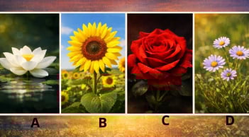 Quiz: Chọn 1 bông hoa để biết đầu năm mới 2026, vận may hay thử thách đang chờ bạn