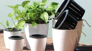 Trắc nghiệm tâm lý: Bạn là người cho đi nhiều hay luôn giữ lại cho riêng mình?