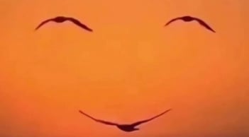 Trắc nghiệm tâm lý: Bạn là người đặt tiền bạc lên trên hay coi trọng cảm xúc hơn?