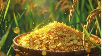 Đừng Chăm Chỉ, hãy Đặt Công Sức đúng chỗ thì tiền sẽ về: 5 sự thật về Giàu có khiến bạn ngỡ ngàng