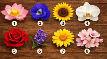  Quiz: Chọn 1 bông hoa để khám phá tài năng tiềm ẩn mà bạn chưa khai phá trong mình