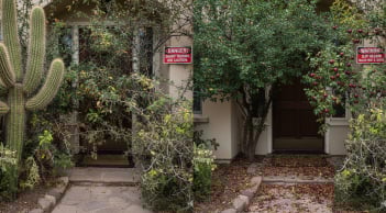 5 loại cây không nên trồng trước cửa nhà: Nhiều gia đình vẫn giữ mà không biết rủi ro tiềm ẩn