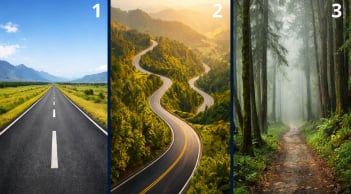 Quiz: Chọn 1 con đường để biết bạn đang đi đúng mục tiêu hay đang mơ hồ lạc lối