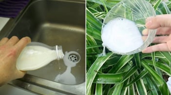 Nhà có sữa tươi hết hạn đừng đổ bỏ, giữ lại có 4 công dụng tuyệt vời