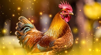 Tháng đầu năm mở cung Tài Bạch: 3 con giáp đón vận may tiền bạc, thu nhập tăng bất ngờ