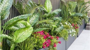 3 dấu hiệu cây trong nhà đang “hút” năng lượng của gia chủ, xử lý ngay kẻo hao lộc