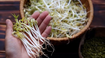 Mẹo bảo quản giá đỗ 7 ngày vẫn giòn ngon, không thâm đen