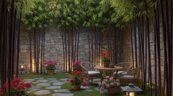 Không phải ngẫu nhiên: 4 loại cây thường xuất hiện trong nhà và sân vườn của người giàu