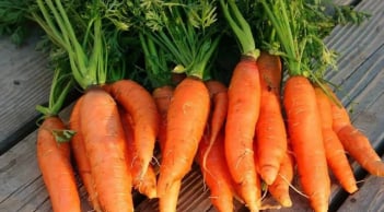 Top 2 loại củ quả ngậm đầy vi nhựa, nhiều người Việt vẫn vô tư ăn hàng ngày