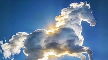 Trắc nghiệm tâm lý: Khám phá điểm tựa vững chắc nhất của bạn khi về già