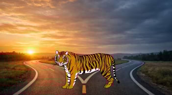 4 tuổi có Trực Giác cực mạnh, 'đặc điểm vàng' để Bứt Phá nhưng cũng phải chú ý kẻo Mất trắng