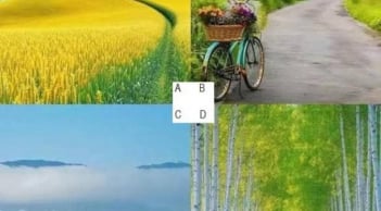 Trắc nghiệm tâm lý: Chọn một con đường để khám phá bạn sẽ trở thành người thế nào trong nửa sau cuộc đời