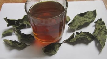 5 người không nên uống nước lá xạ đen