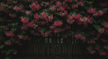 4 loại cây trồng quanh nhà dễ khiến rắn xuất hiện, nhiều gia đình không ngờ tới