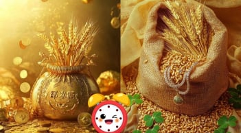 48 giờ tới: 3 tuổi đi nhanh một bước là Chớp Cơ Hội Vàng, chậm là bị đối thủ tranh mất