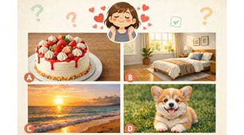 Quiz: Chọn một hình ảnh bạn thấy 'dễ chịu' nhất để biết bạn có phải người dễ hài lòng?