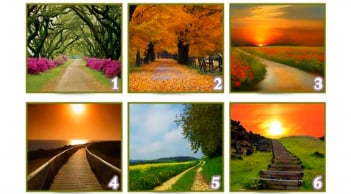 Quiz: Con đường bạn chọn sẽ nói lên sự thành công của bạn trong tương lai?