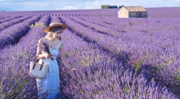 Trắc nghiệm: Năm nay bạn sẽ “nở hoa” ở lĩnh vực nào trong cuộc sống?