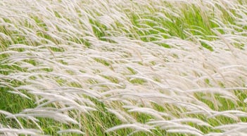 Trắc nghiệm tâm lý: Ai là người giữ vị trí quan trọng nhất trong cuộc đời bạn?