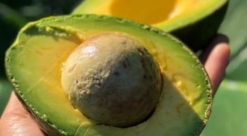 6 thực phẩm giúp làn da sáng mịn từ bên trong