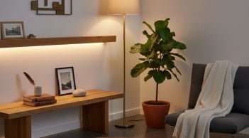 Năm 2026, hướng này được ví như “kho vàng”: Nhà càng gọn gàng, tiền bạc càng dễ tụ