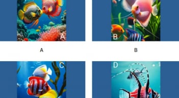 Trắc nghiệm tâm lý 2026: Khám phá thành quả lớn nhất bạn sẽ đạt được trong năm nay