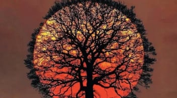 Trắc nghiệm tâm lý: Ánh nhìn đầu tiên tiết lộ hậu vận đời bạn có viên mãn hay không