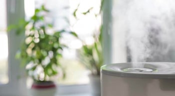 6 thứ thường có trong nhà của người có nhiều may mắn