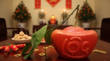 Loại bưởi từng bị bỏ quên nay “lên đời” đặc sản Tết 2026, giá tới 400.000 đồng/quả vẫn hút khách thành phố