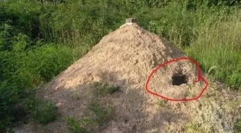 Giải mã câu tục ngữ nông thôn: Một thứ trước mộ, ba thứ sau mộ nói lên điều gì?