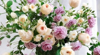 Trắc nghiệm tâm lý: Chọn 1 bình hoa theo trực giác để khám phá vận may, tài lộc và tình duyên sắp tới