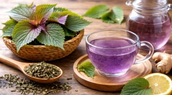 Uống nước tía tô phải biết: 3 khung giờ 'Vàng' cho sức khỏe và 4 thời điểm uống vào dễ gây hại