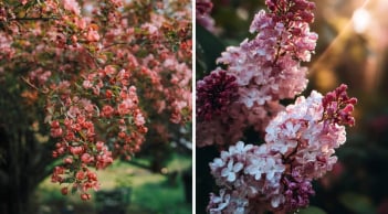 Người mang “mệnh dễ tích lộc” thường sinh 5 khung giờ này: Tài lộc rõ ràng, bền vững